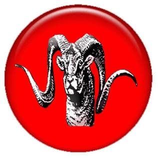Partner Logo 6